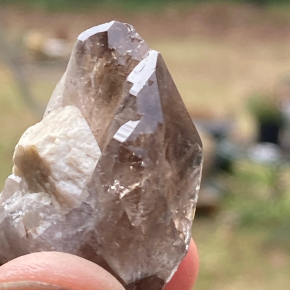 Smoky Quartz with Aegirine from Malawi, South Africa - Picture 11 of 15